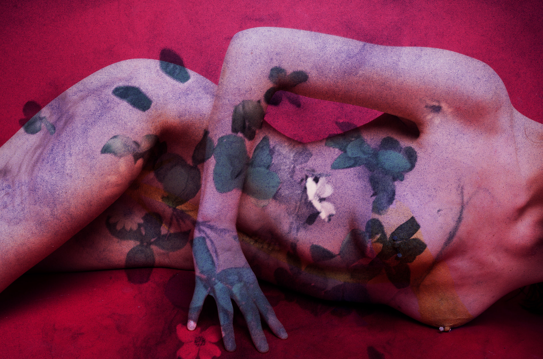 Portfolio Development