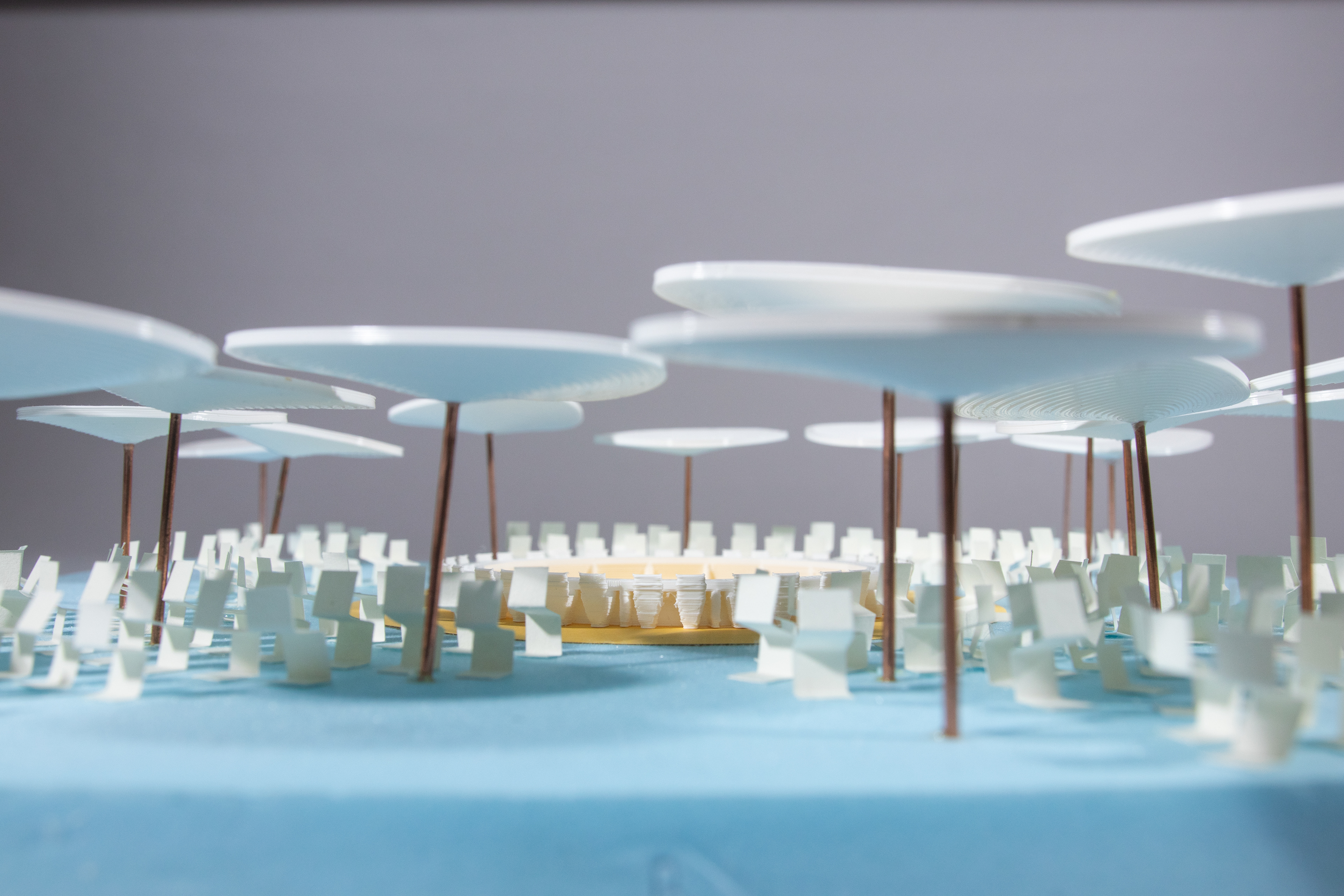 The canopies seek to absorb sound and create a feeling of togetherness
