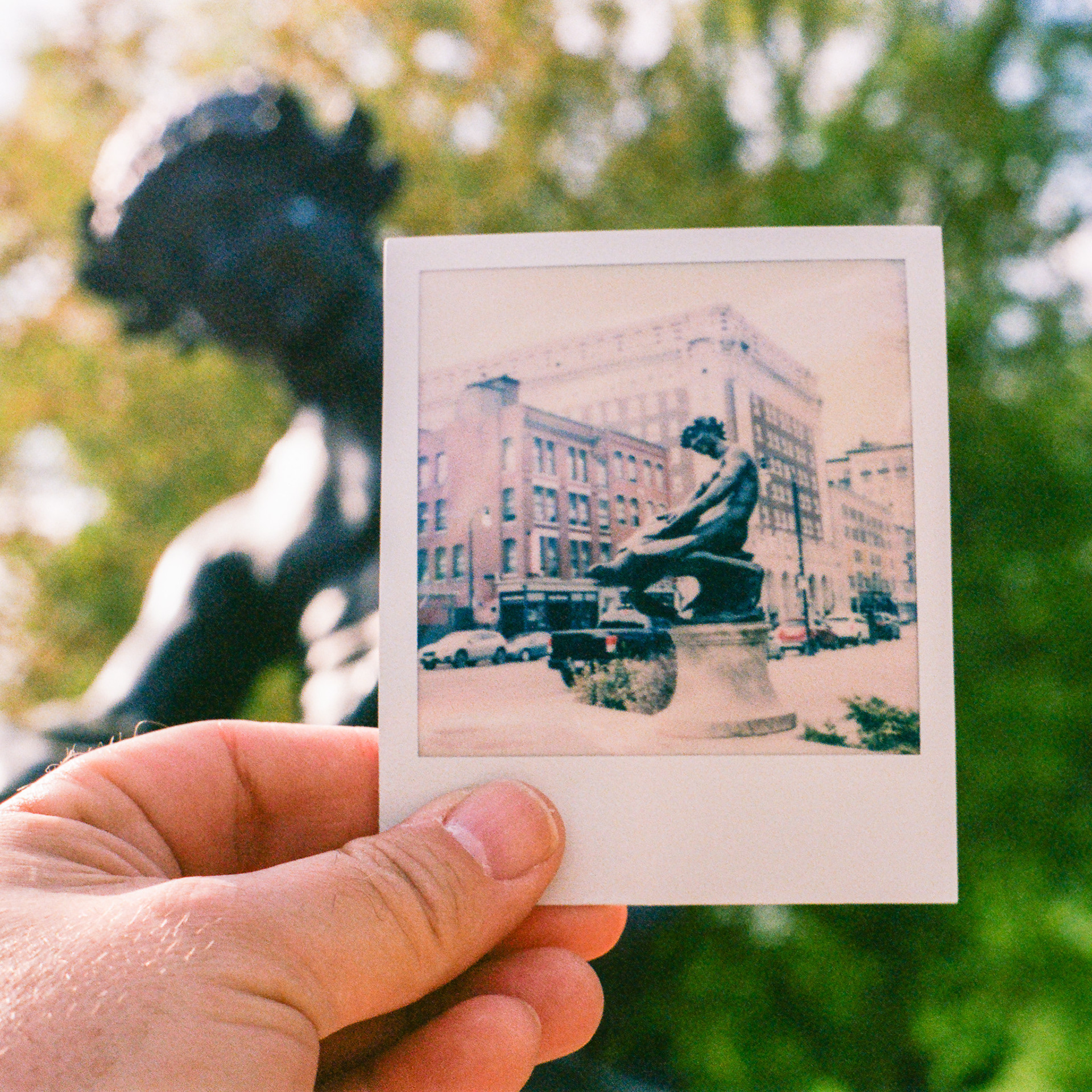 May 12th, Turtle Boy Polaroid, Turtle Boy statue