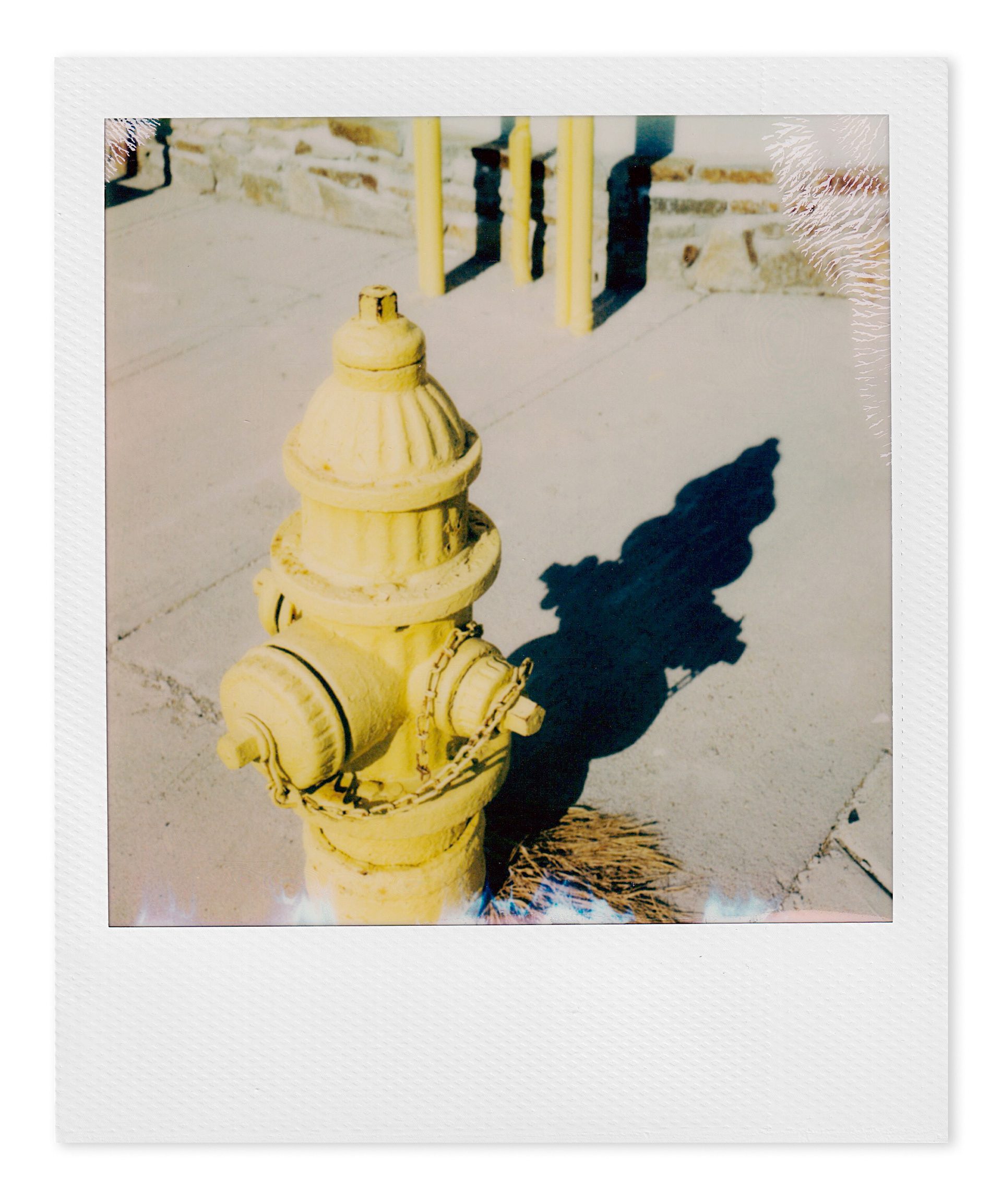 fire hydrant on the corner of Abbott Street and Chandler Street