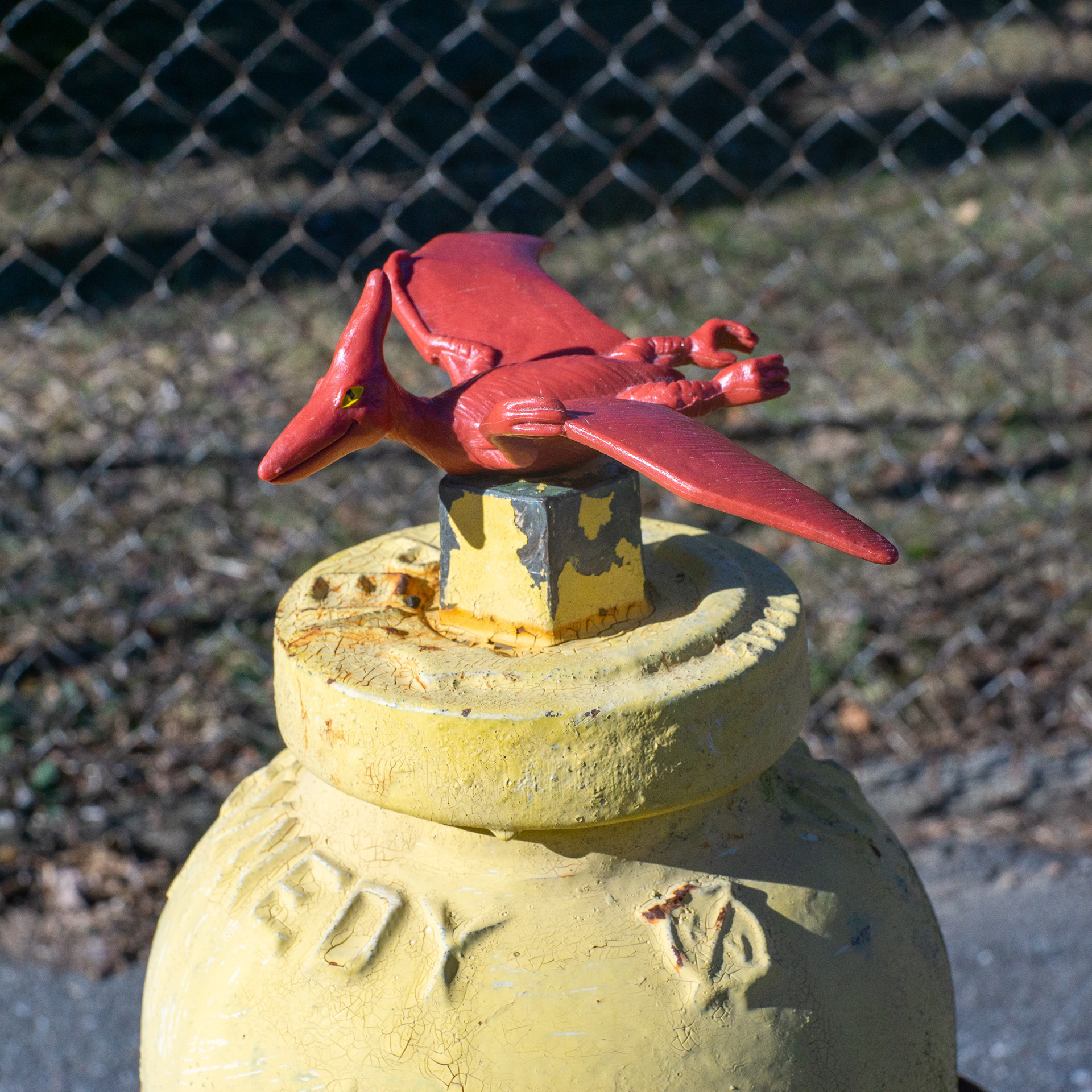 January 8th, plastic pterodactyl, fire hydrant