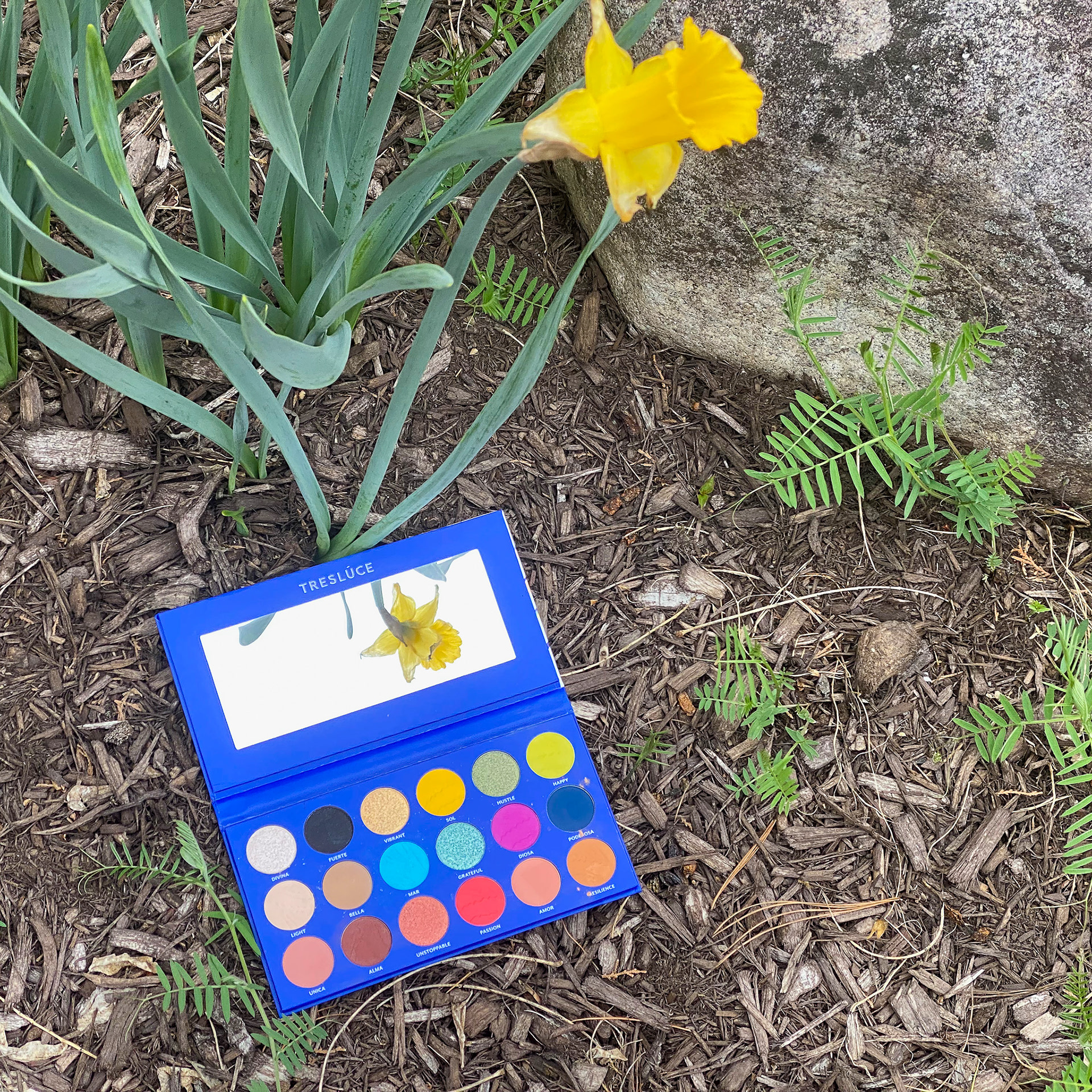 April 22nd, eye shadow palette, daffodil