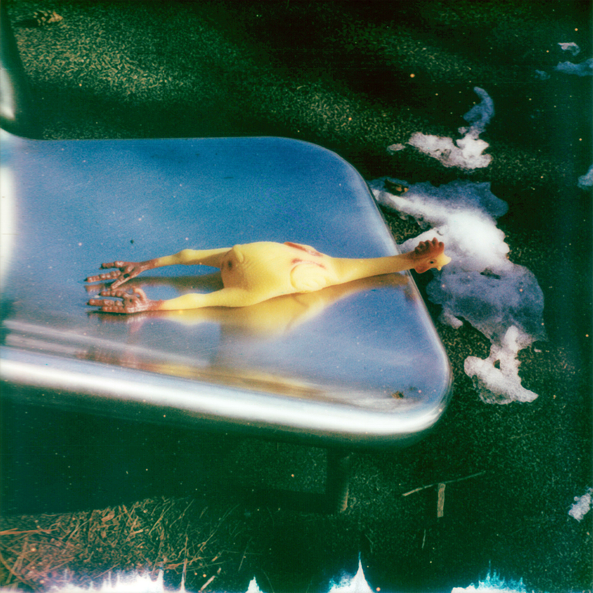 January 27th, rubber chicken, playground slide