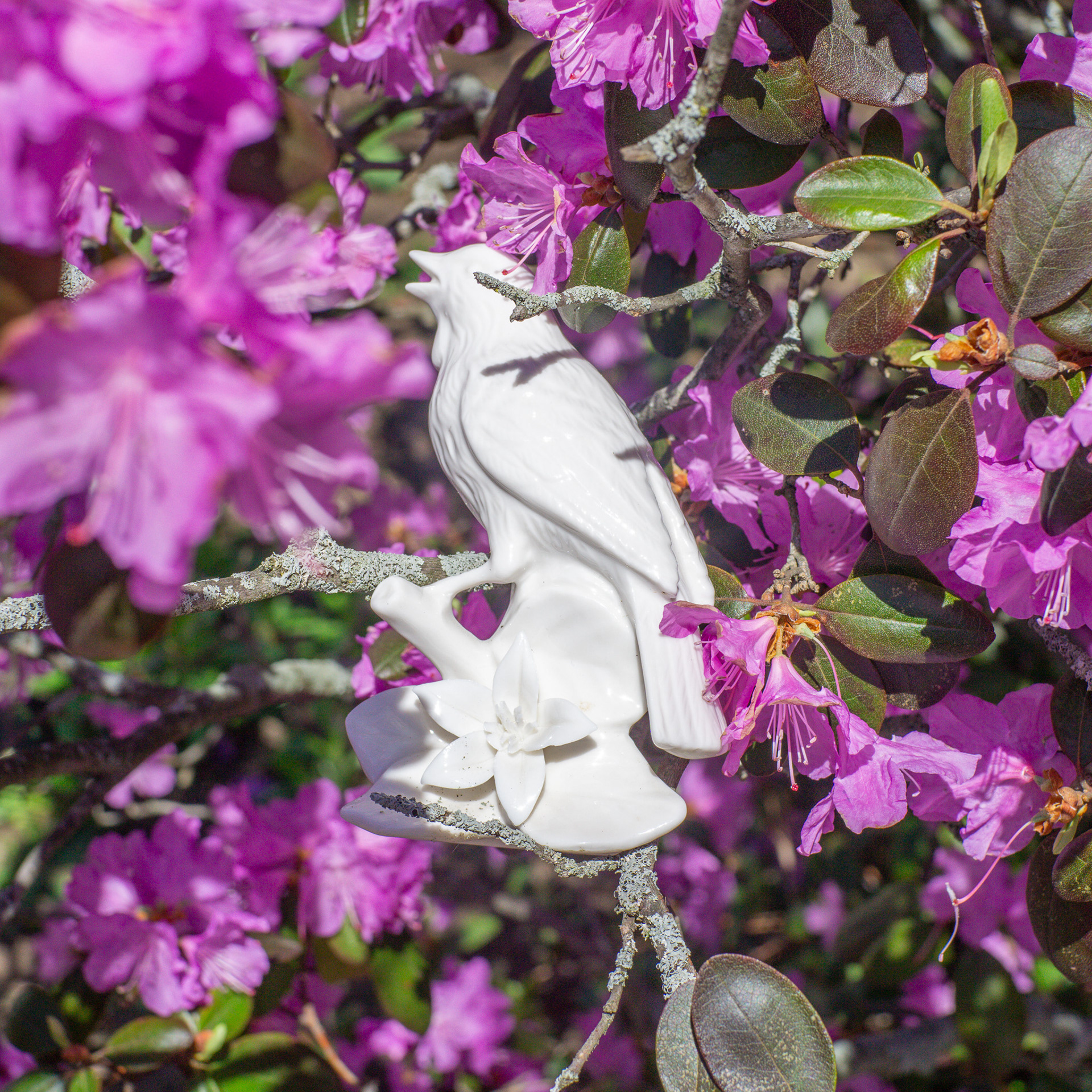 April 20th, ceramic bird, flowering tree