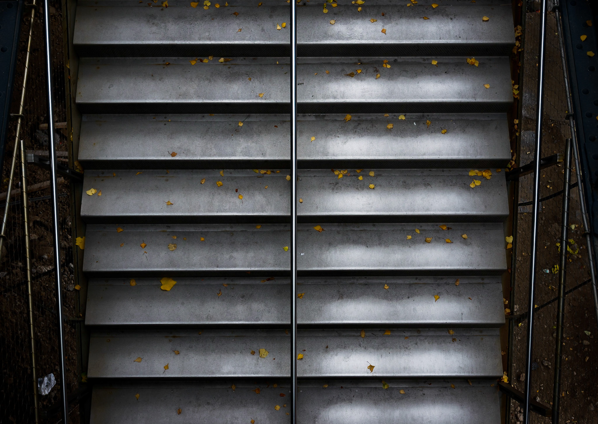 Untitled #-4403