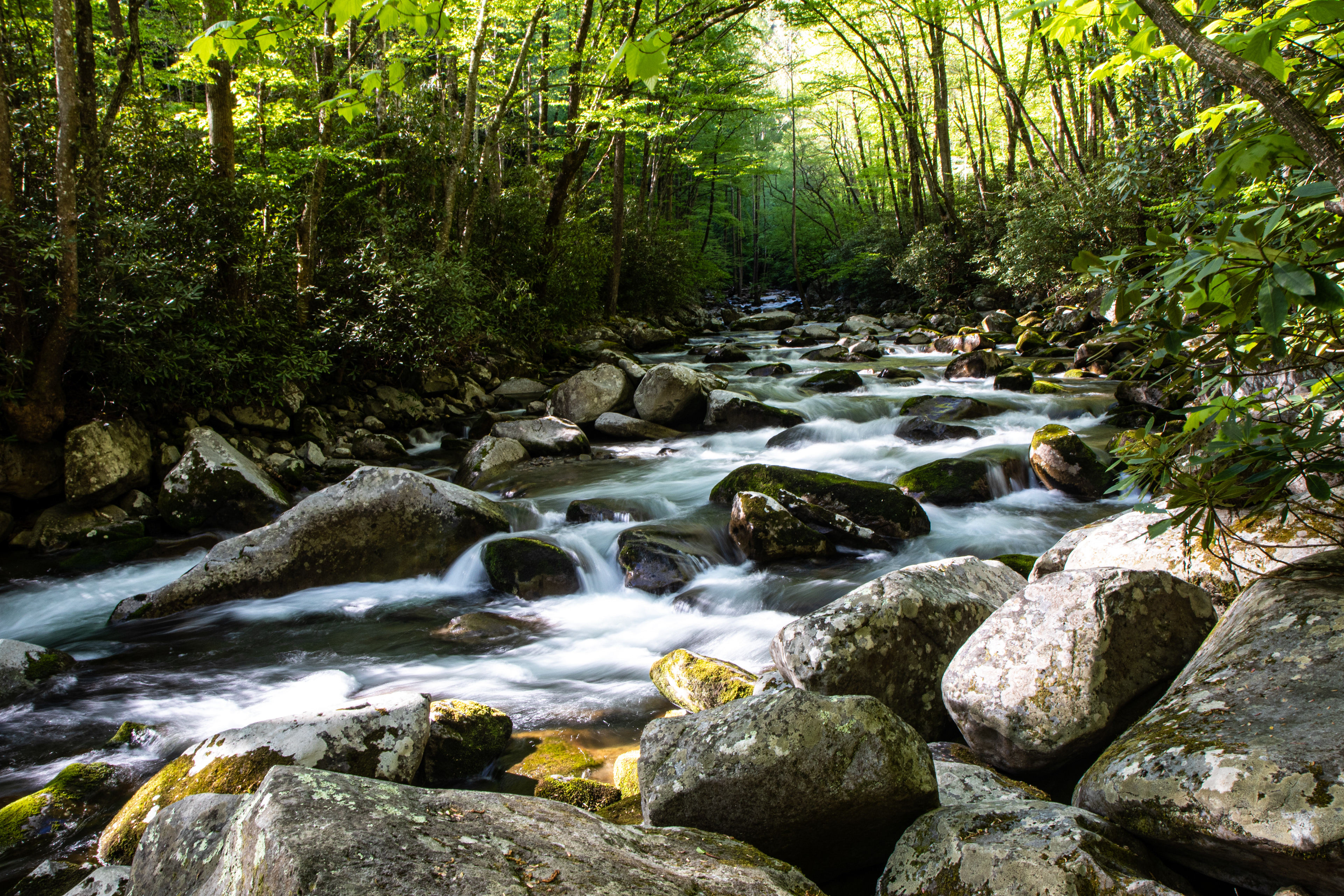 Smoky Mountains