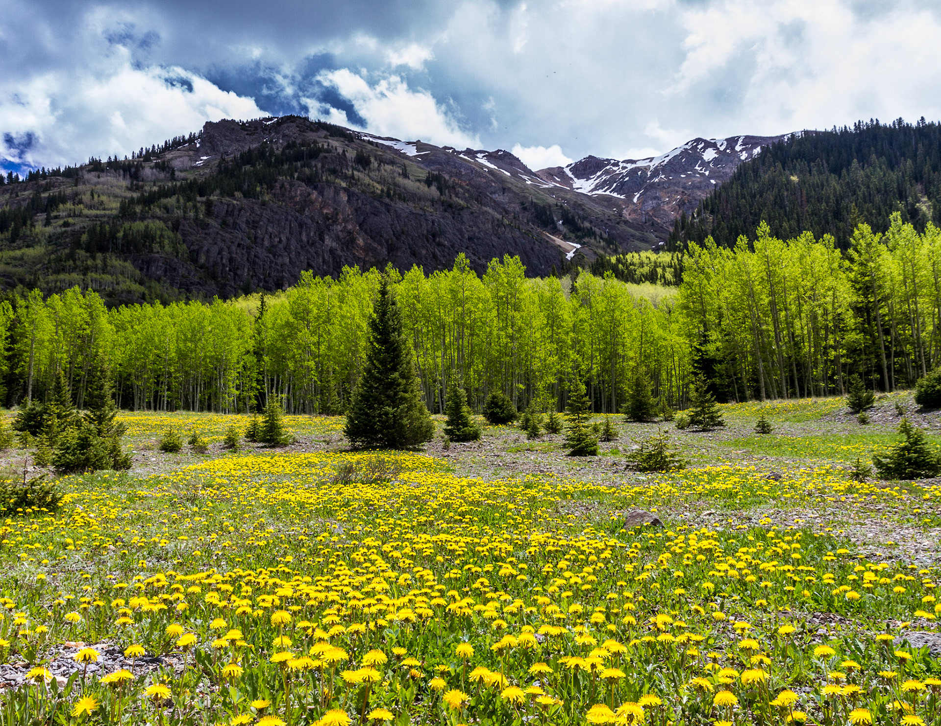 June - Rocky Mts, CO