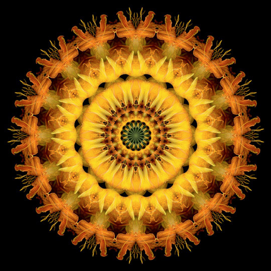 circle with no circumference