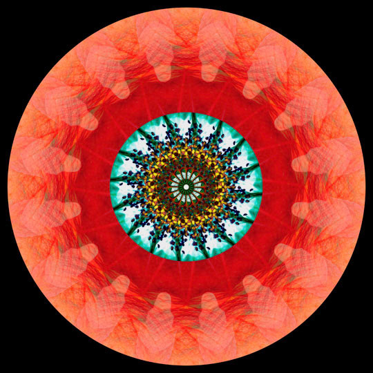 Dharmarakshita
