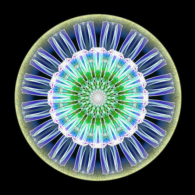 Scintilla