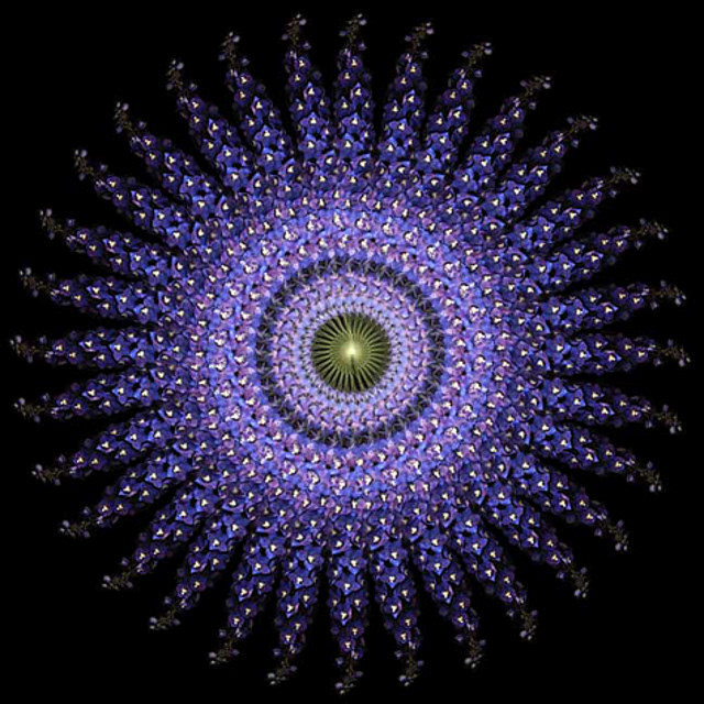 Dendrites