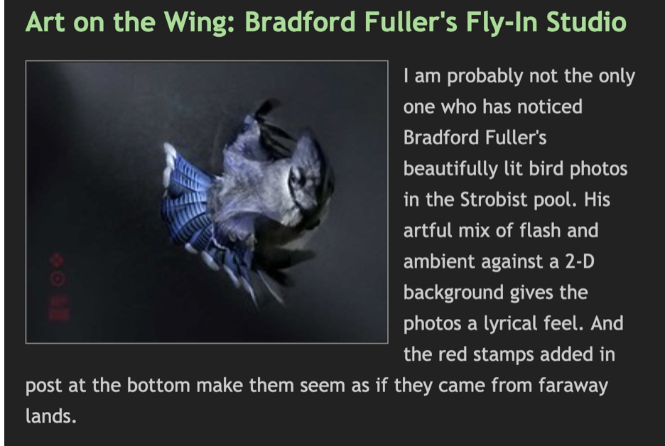Art on the Wing