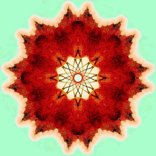 Iconoplast