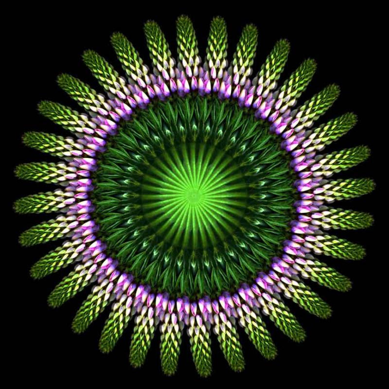 Infinite Universe