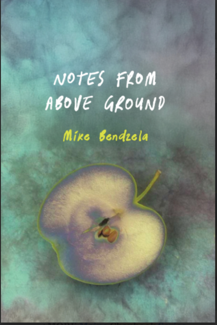 Maine Writers and Publishers Association - chosen for publication