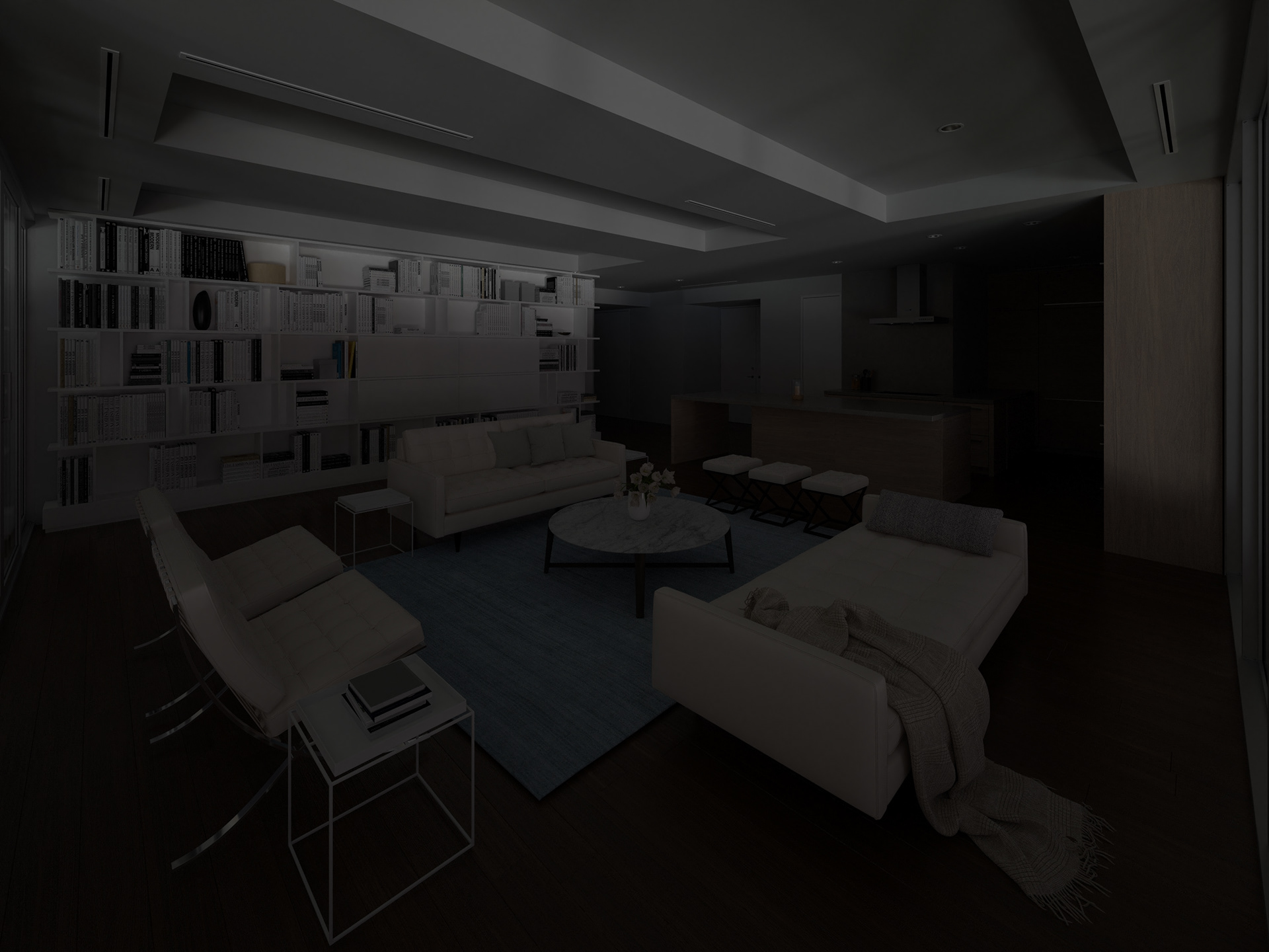 View 03  |  Peak Brightness (300 cd/m²)