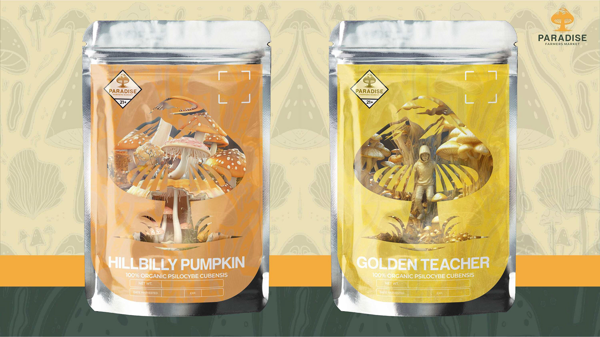 "HILLBILLY PUMPKIN" & "GOLDEN TEACHER"
