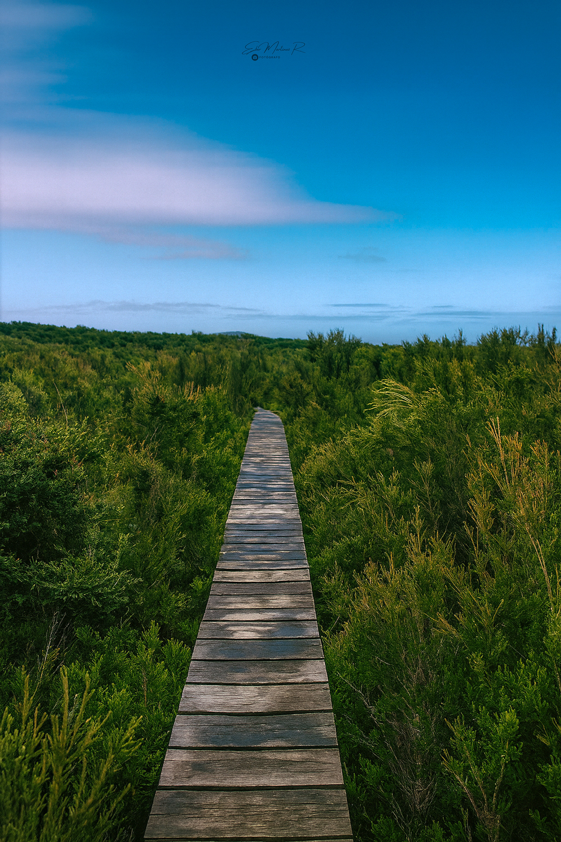 Chonchi - Parque Nacional Chiloé