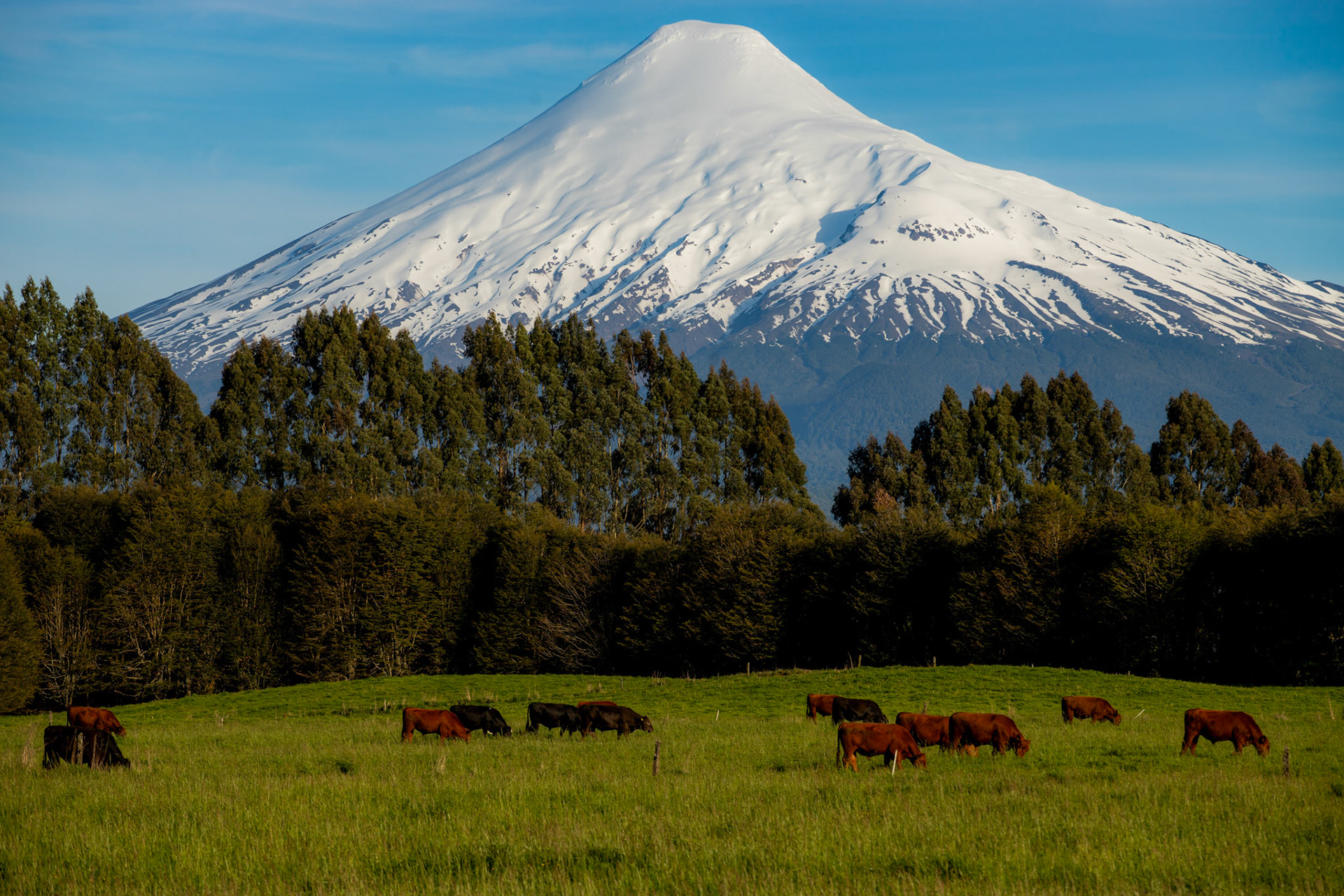 Postal del Volcán Osorno - Peripillan