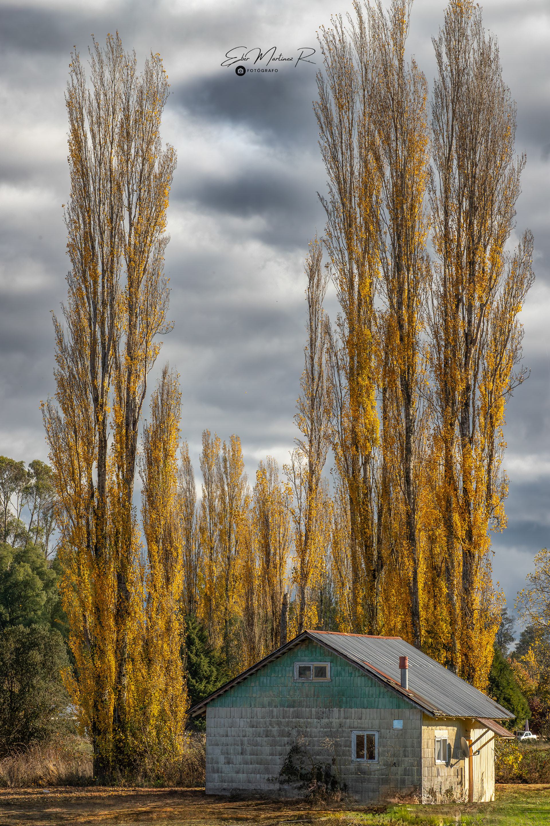 Puerto Octay - Otoño