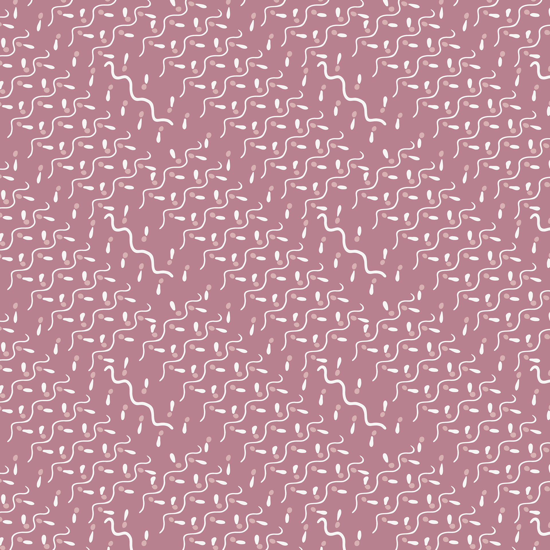 Subtle Motion