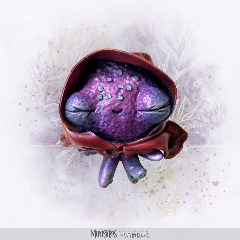 HOODIE OCTOPUS (Species: Hoodiedae Octopusidae) SOLD