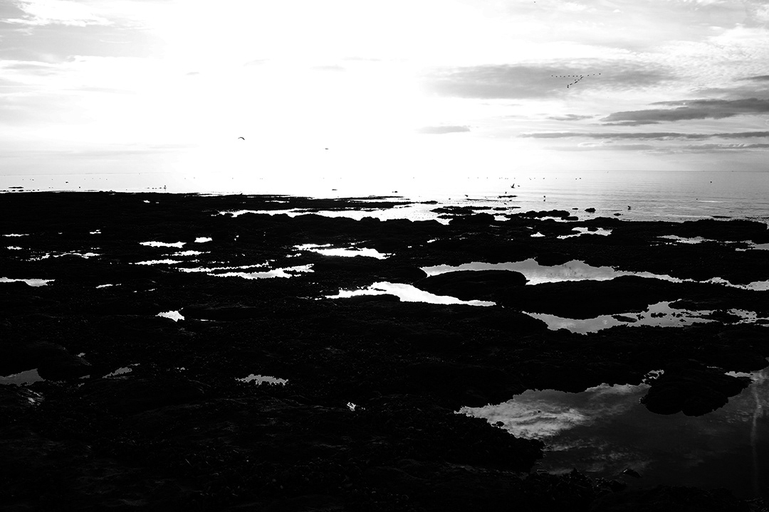 Norfolk Coastal Path. 2022. ©Den Owen