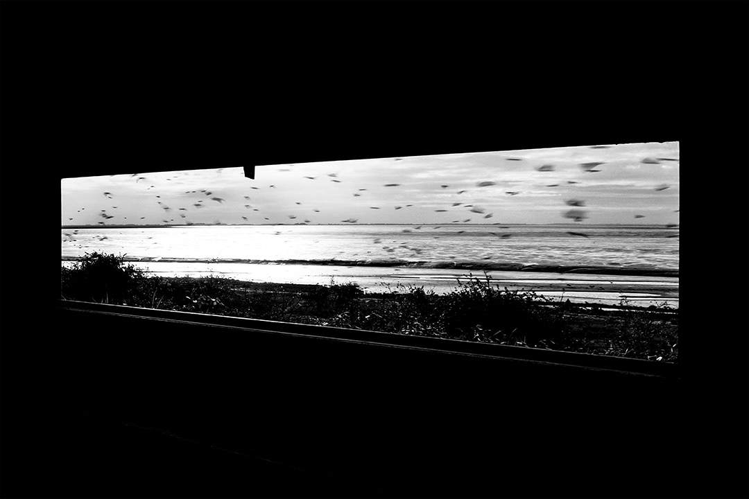 Norfolk Coastal Path. 2022.