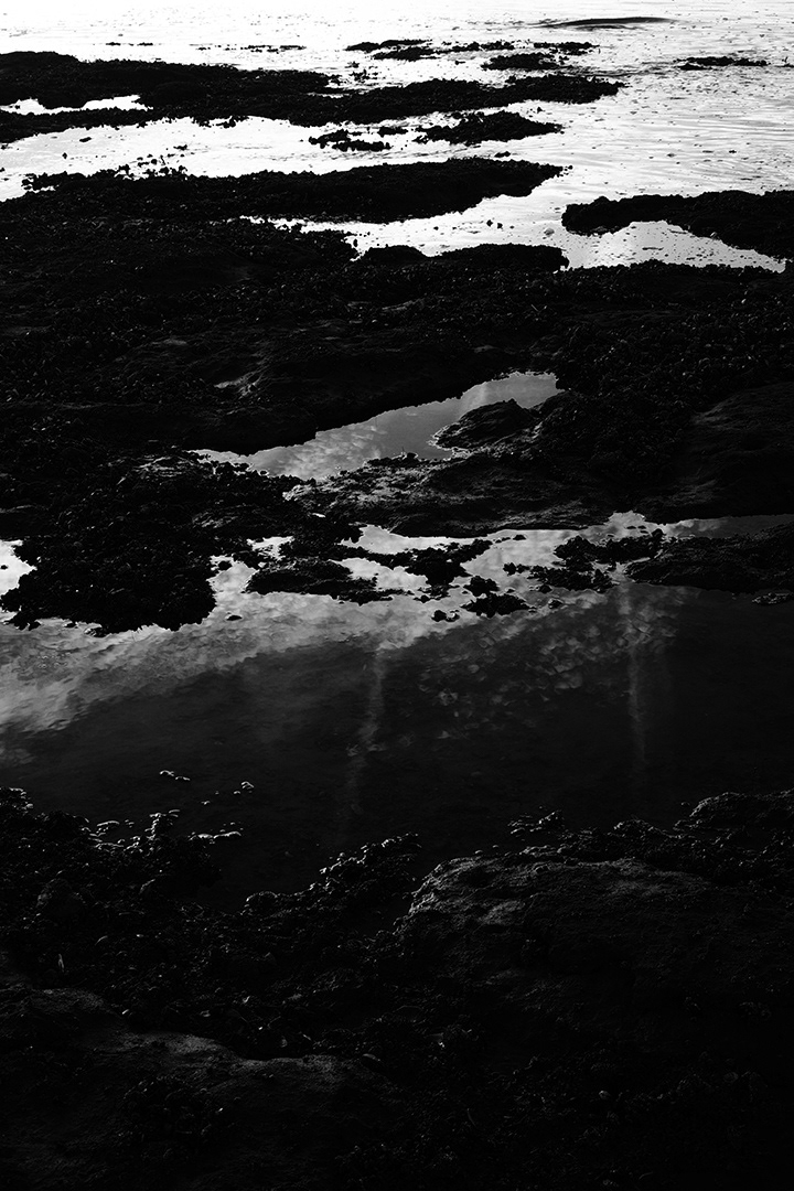 Norfolk Coastal Path. 2022. ©Den Owen