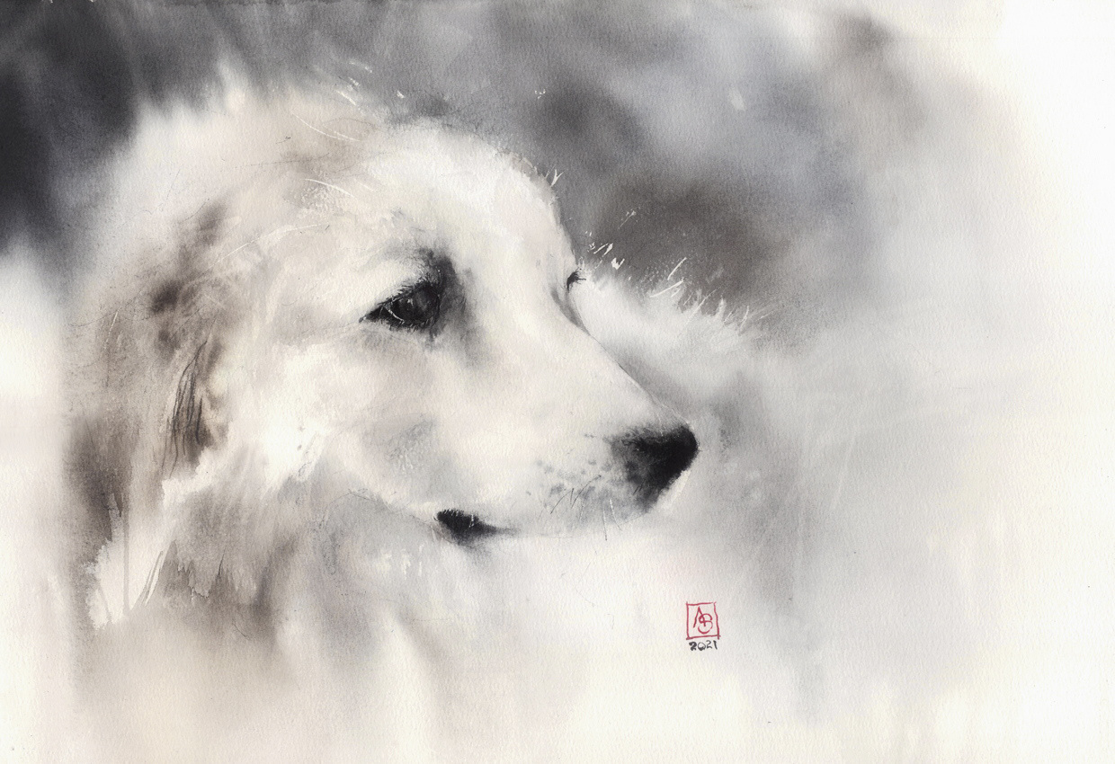 My Family and Other Animals, 56x38 cm, sold