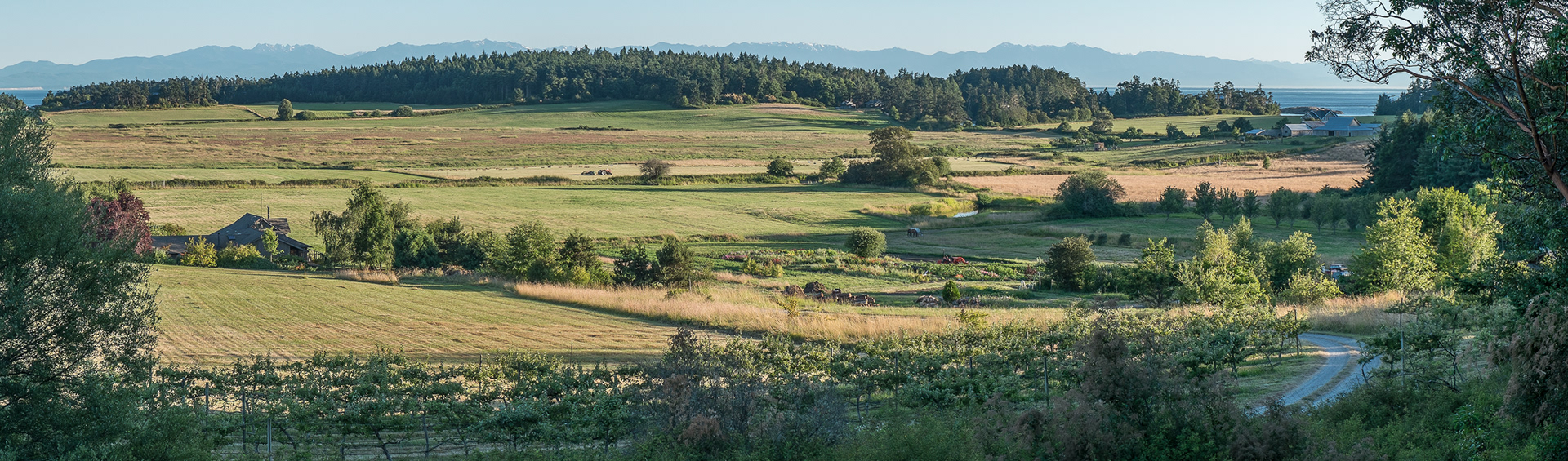 Richardson Valley