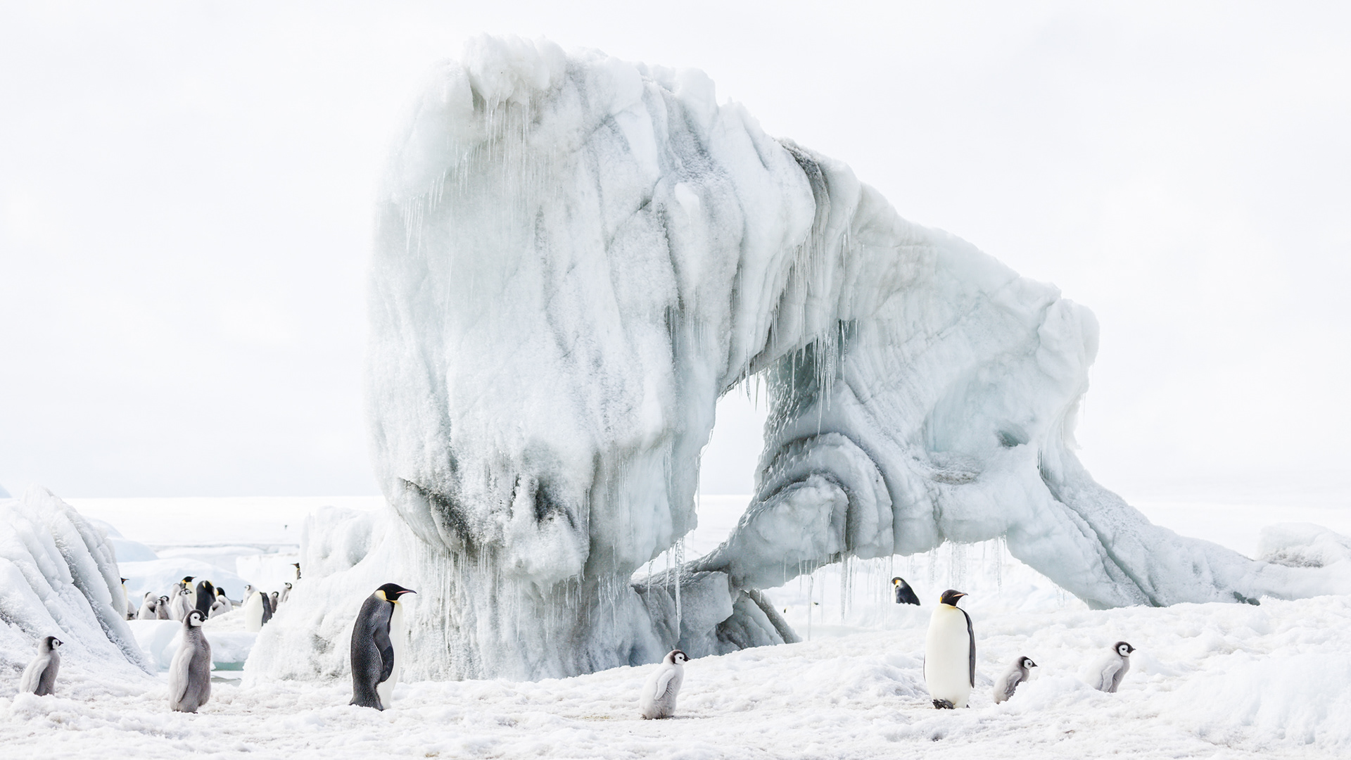 Audubon Photography Awards Top 100, 2025
