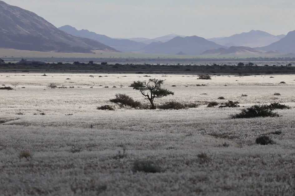 namibie