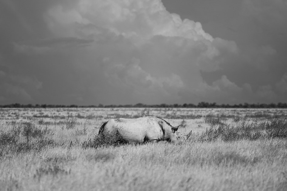 namibie