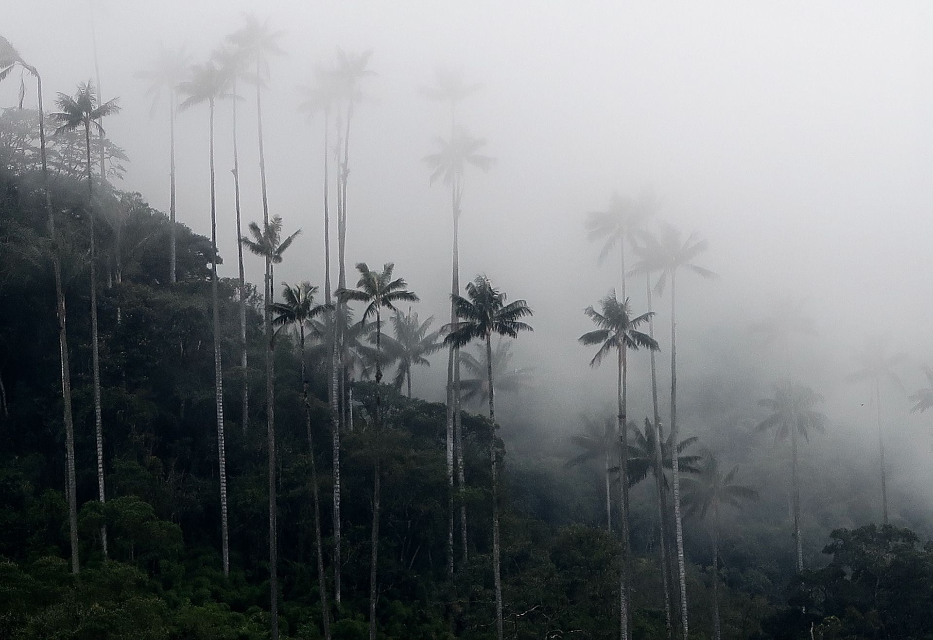 colombie