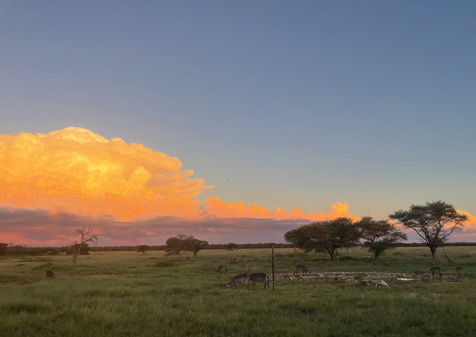 namibie