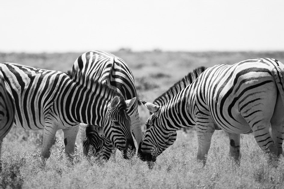 namibie