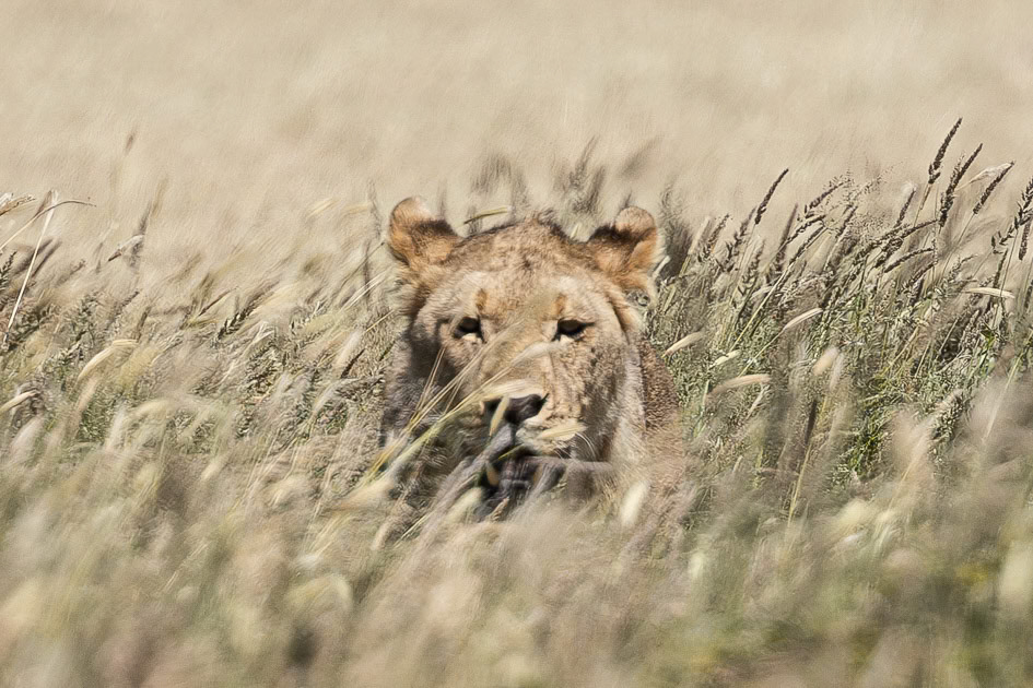 namibie