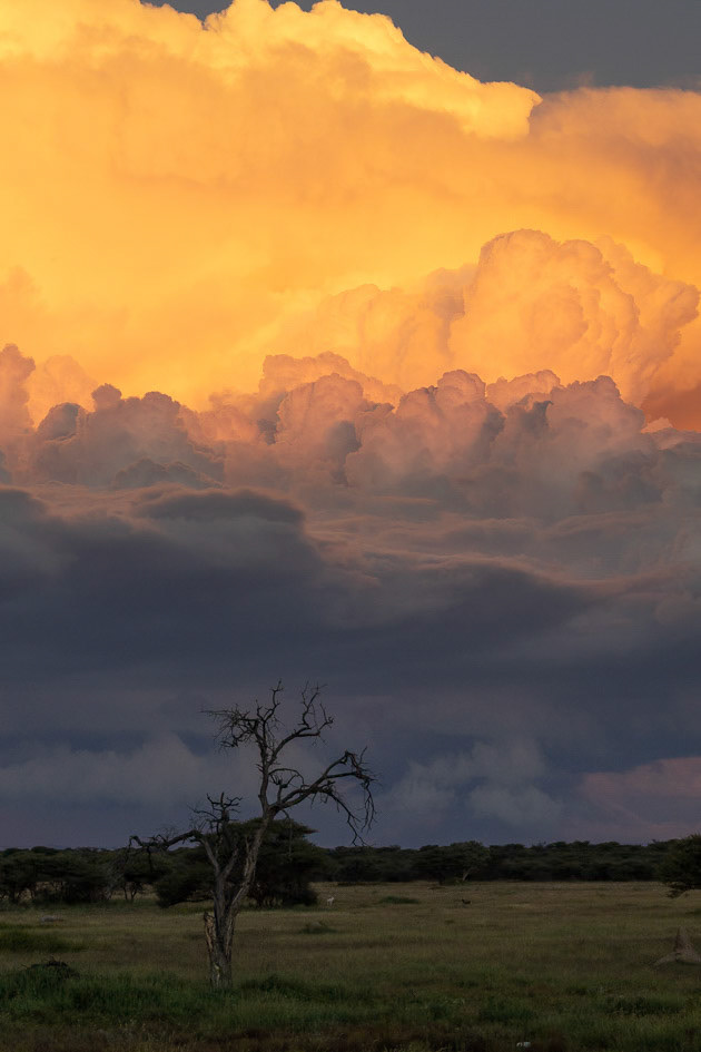 namibie