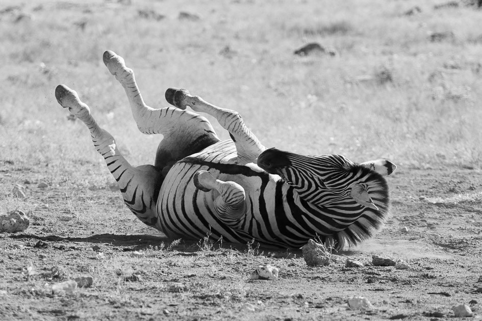 namibie