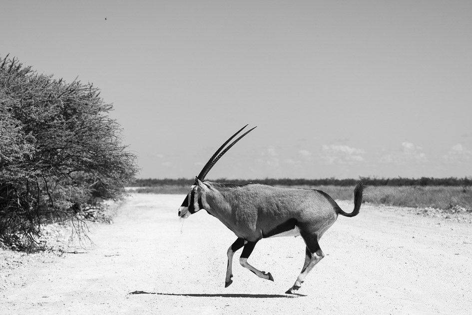 namibie