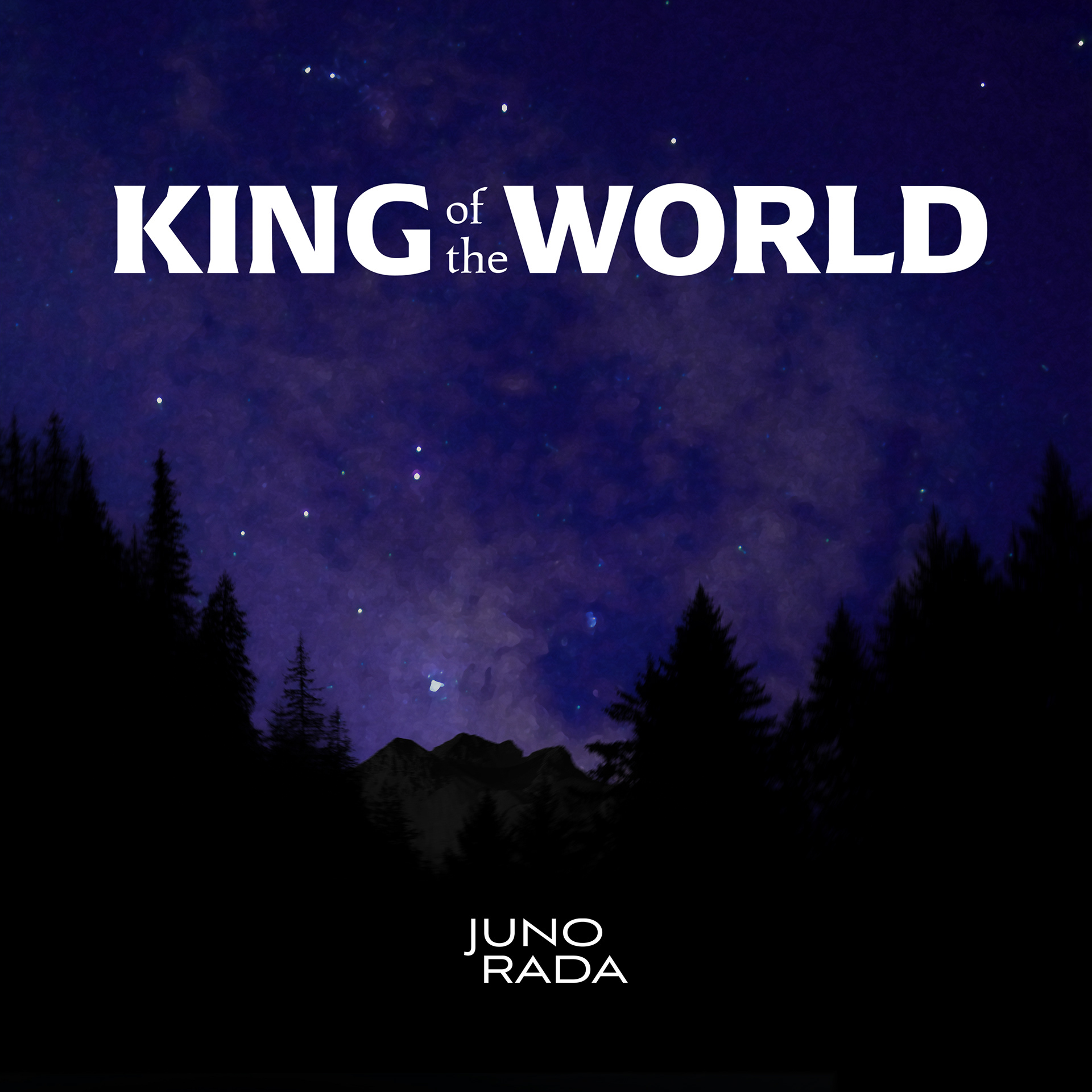 An alternative version of my album art design (not used for the official release)