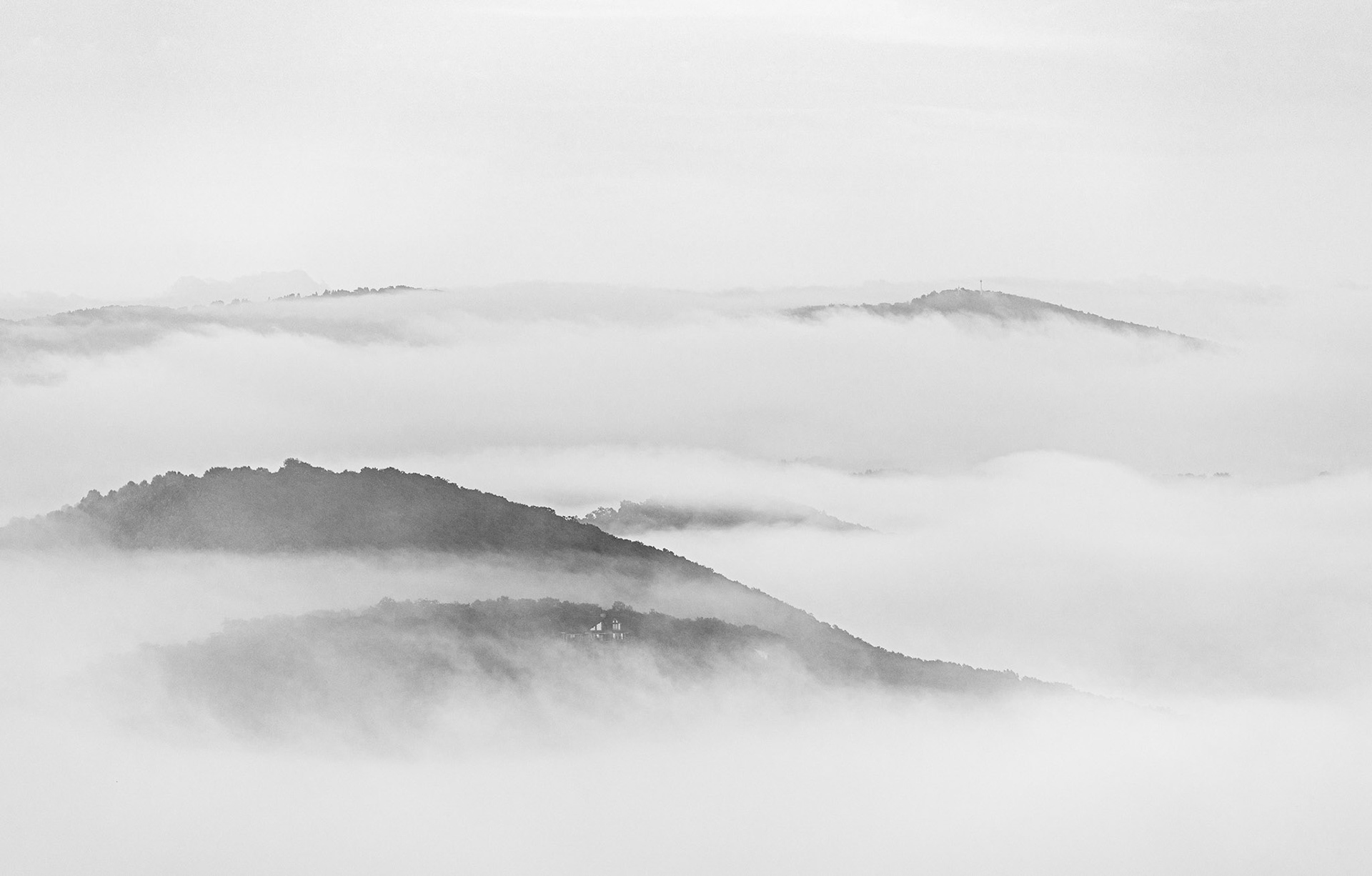 Morning Fog | Jefferson | 36°21'42"N 81°33'40"W