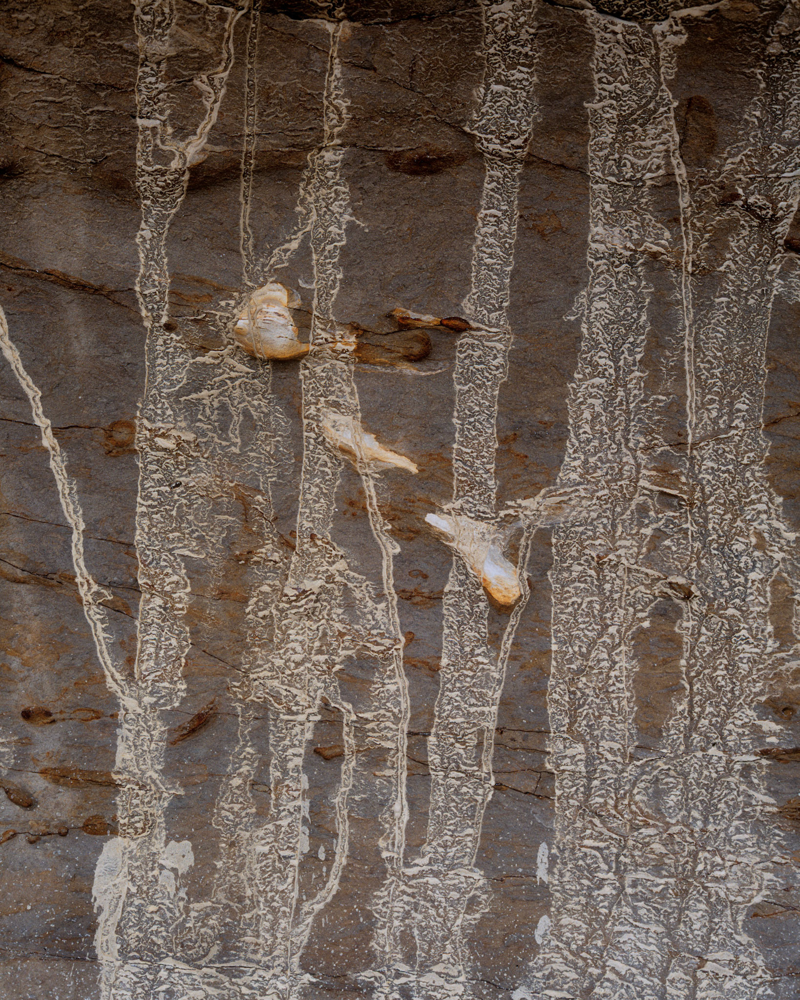 Erosion Paths, San Gregorio, 2007