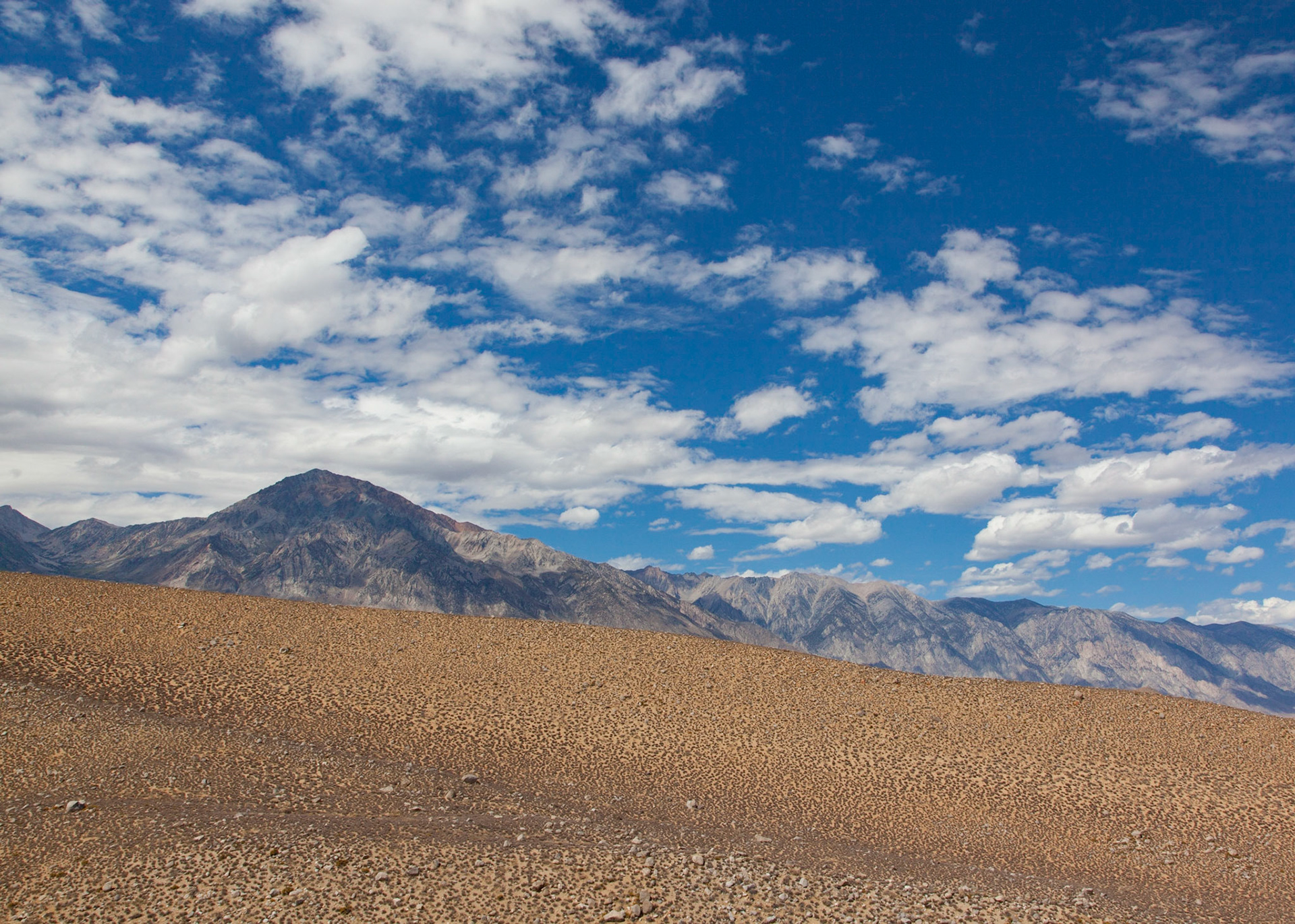 Contrasts, Bishop Creek, 2012
