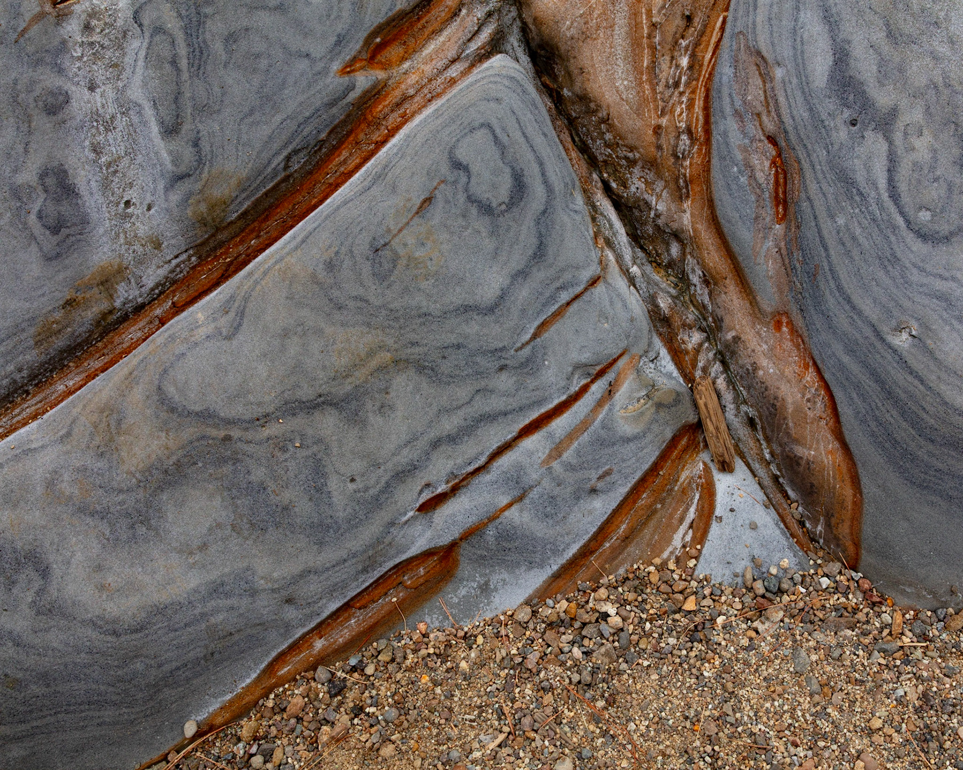 Intrusion, Point Lobos, 2021