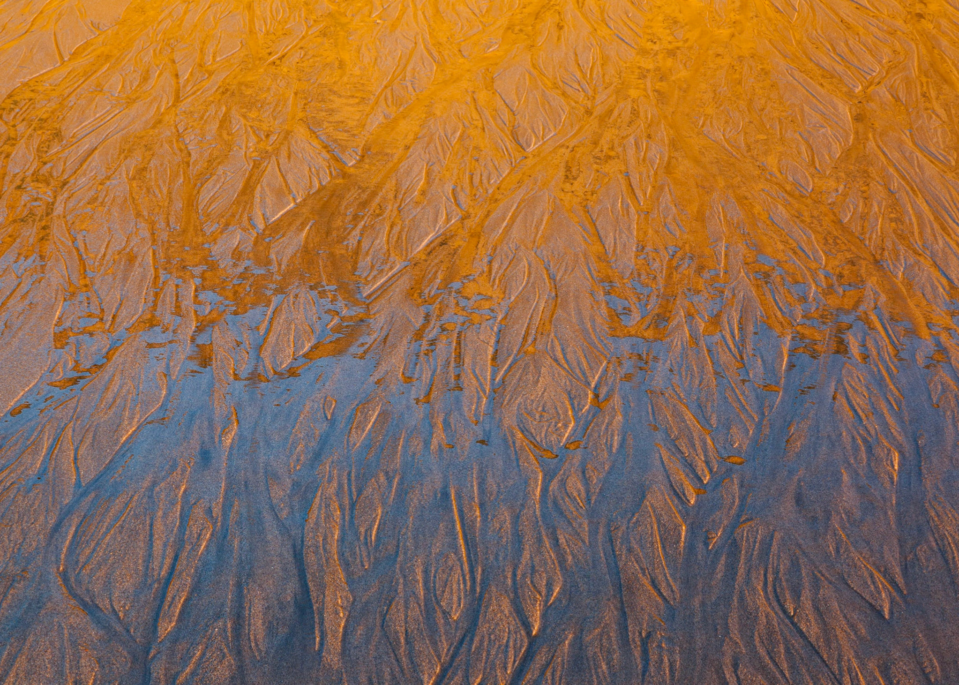 Low Tide, San Gregorio, 2011