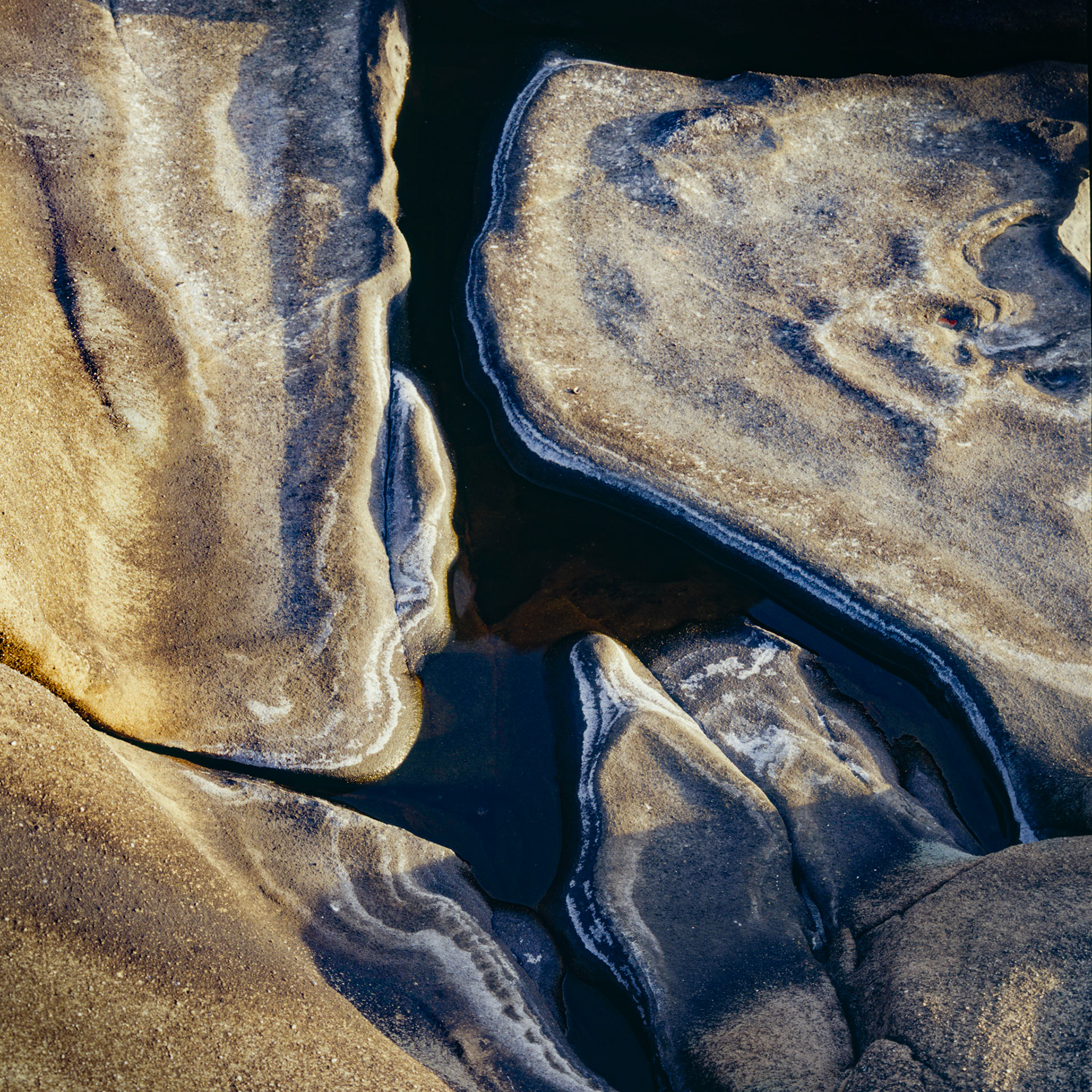 Shadow Pool, Salt Point, 2008
