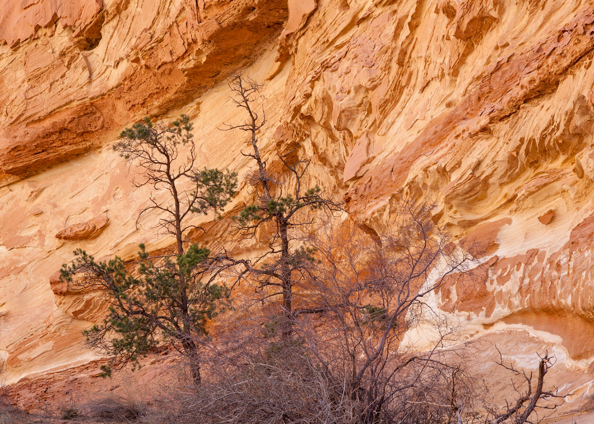 Counterpoint, Capital Reef
