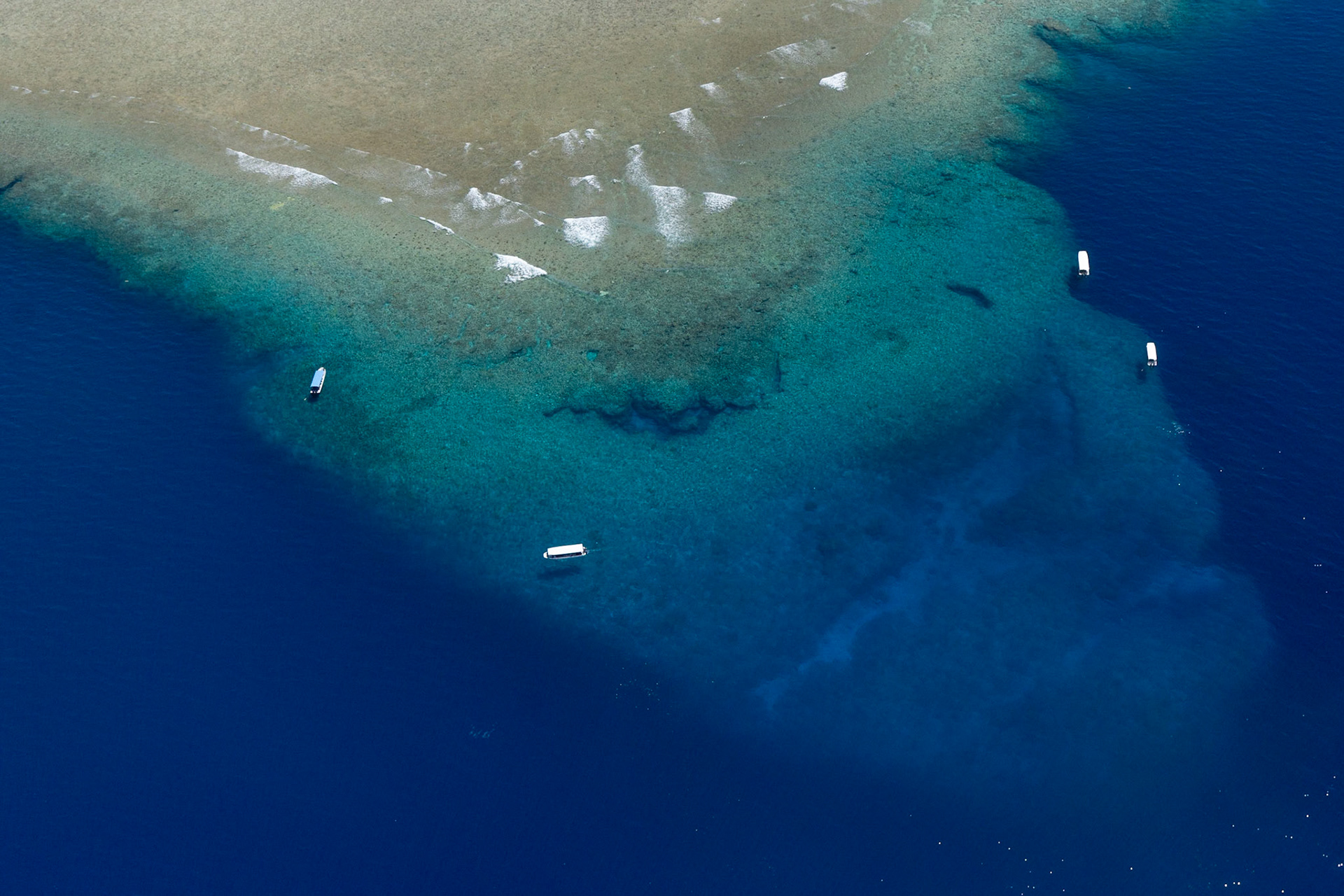 Blue Holes, Palau, 2024
